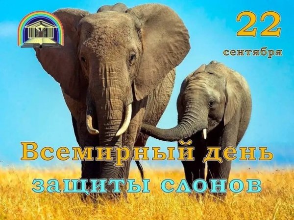 Всемирный день защиты слонов