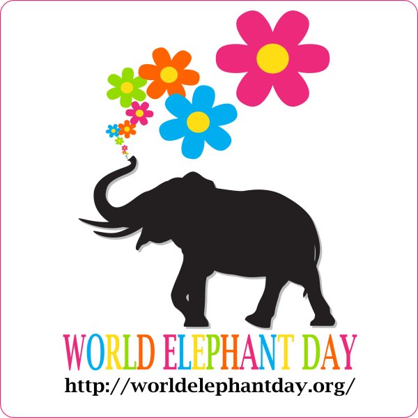 Всемирный день слонов