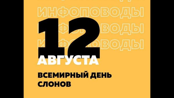 Всемирный день слона 12 августа