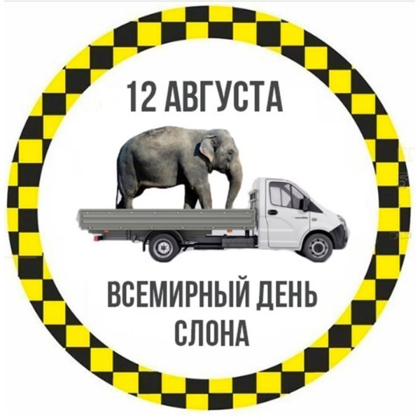 День слона 12 августа