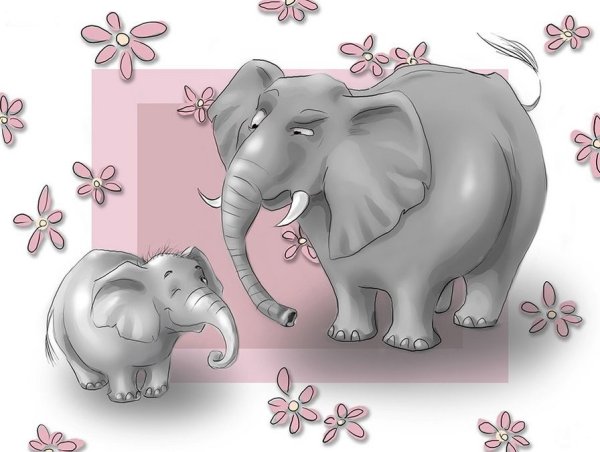 Открытка "слон"