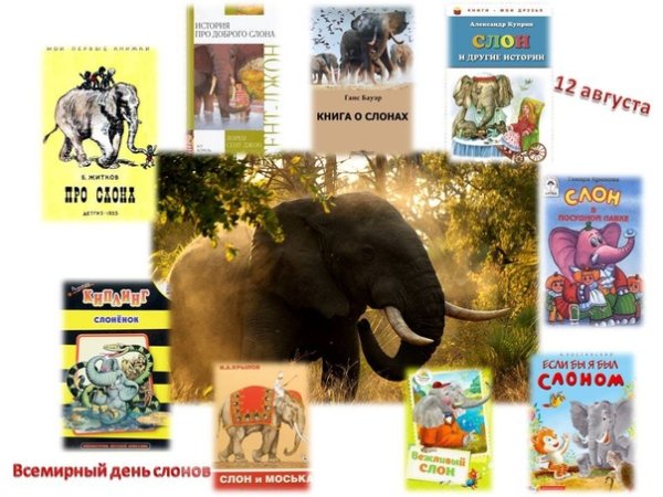 Всемирный день слона 12 августа