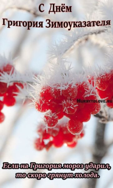Григорий Зимоуказатель