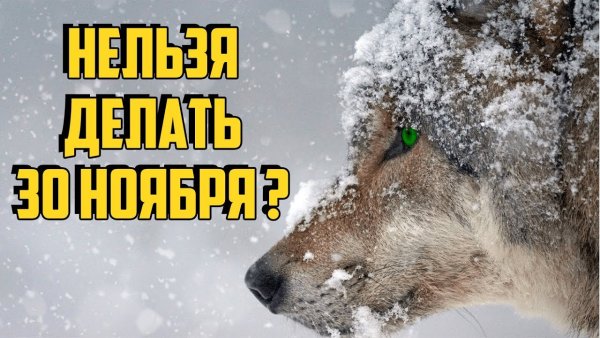 Григорий Зимоуказатель народный праздник