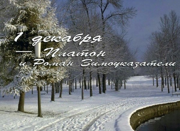 Платон и Роман Зимоуказатели 1 декабря