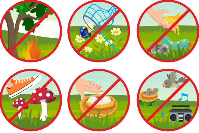 Экологические знаки окружающий. Экологические знаки. Экологические знаки по охране природы. Экологический знак природы. Экологические знаки для детей.