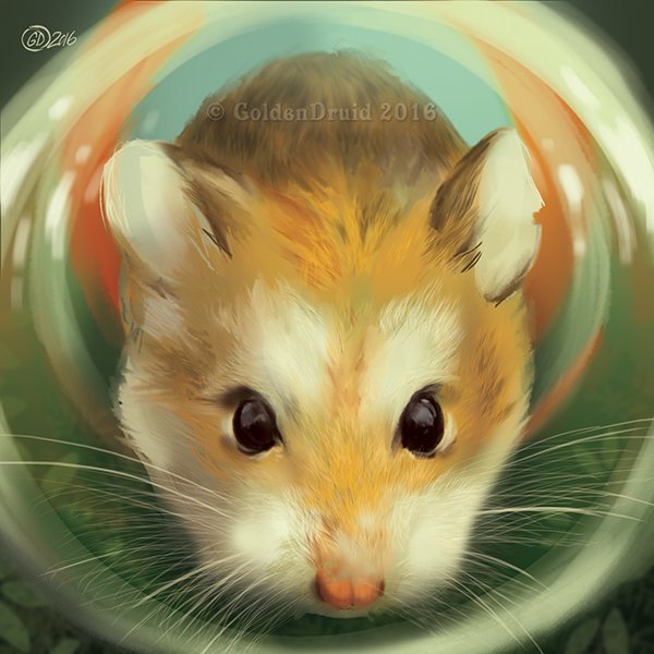 Рыжий хомяк арт