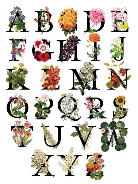 Буквы в виде цветов