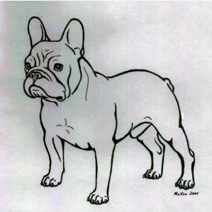 Французский бульдог рисунок в полный рост