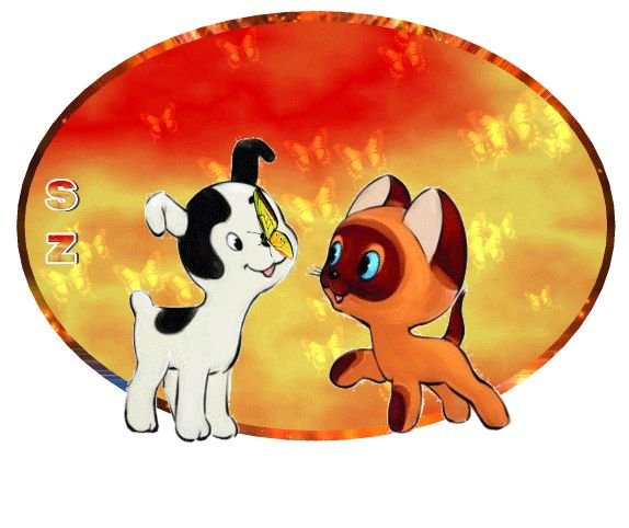 Котенок по имени Гав и щенок