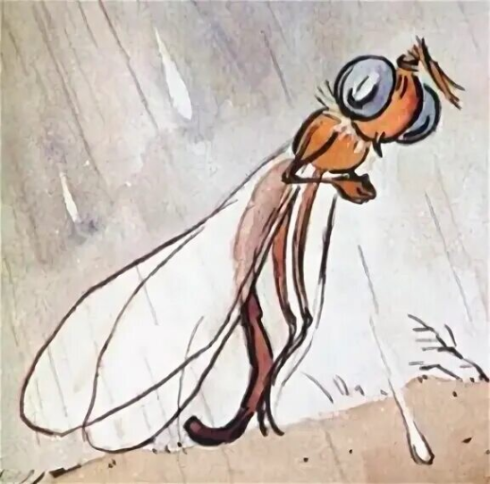 Стрекоза из басни Стрекоза и муравей