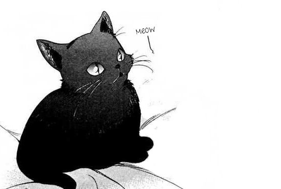 Арты черно белые котиков (55 фото)