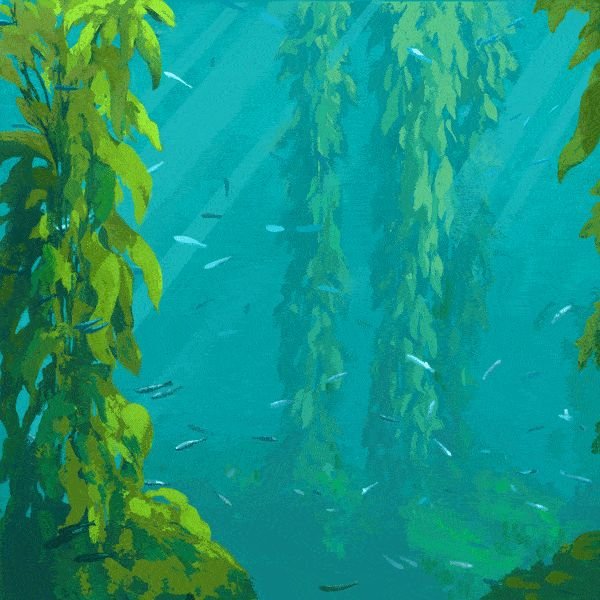 Водоросли в воде