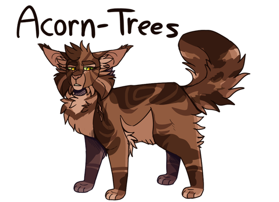 Warrior Cats жёлудь