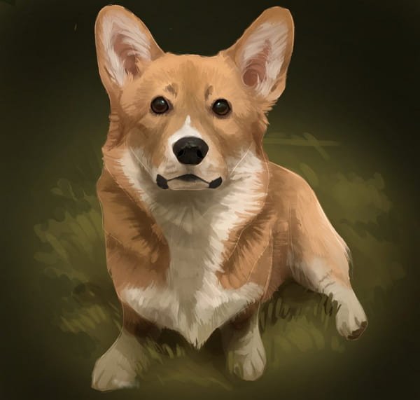 Вельш корги арт