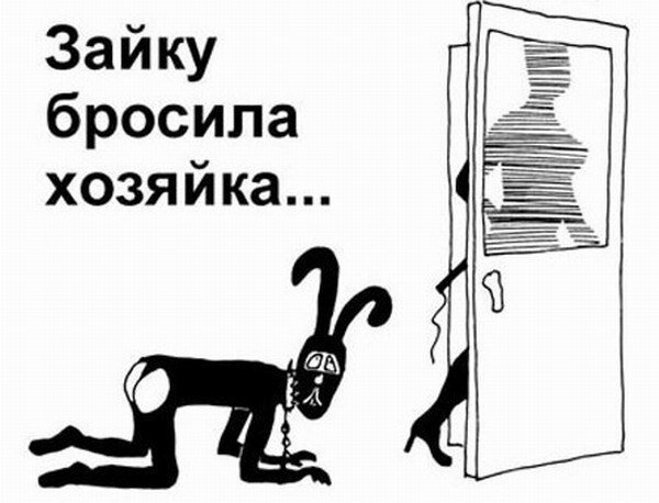 Зайку бросила хозяйка прикол