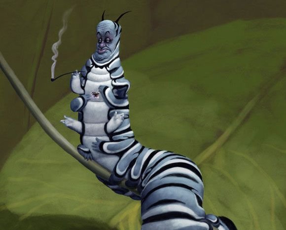 Абсолем гусеница