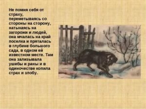 Л Н Андреев кусака