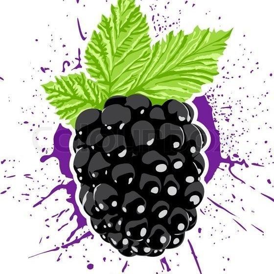 Ежевика иллюстрация