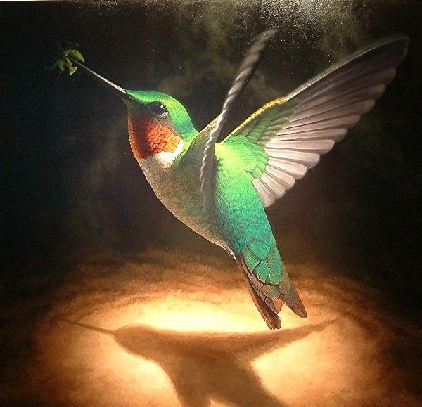 Колибри арты