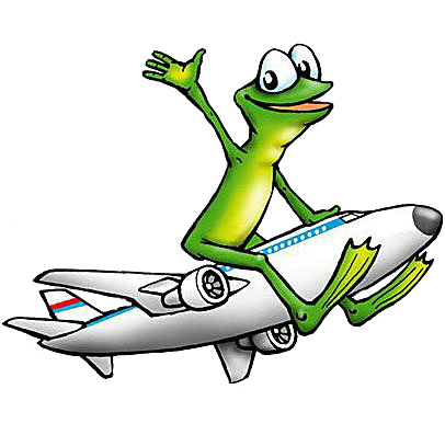 Лягушка на самолете