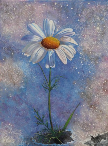 Космическая Ромашка