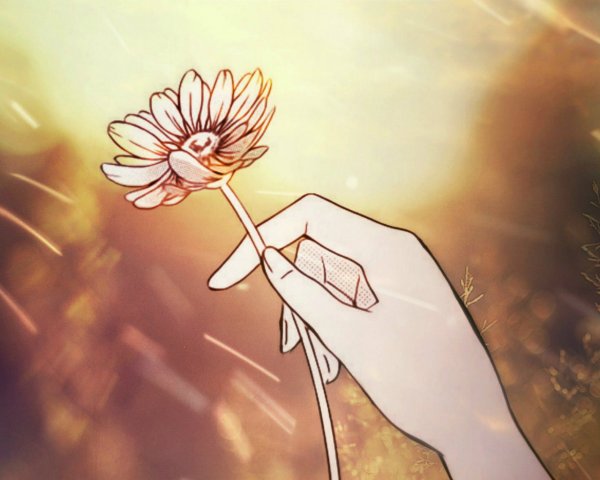 Ромашки аниме