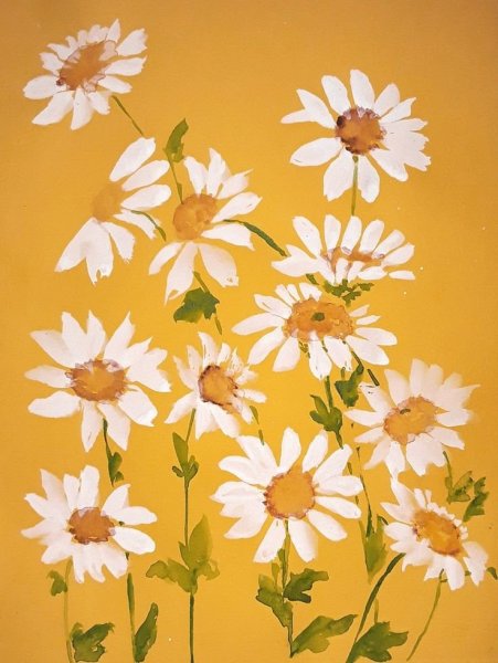 Ромашки арт