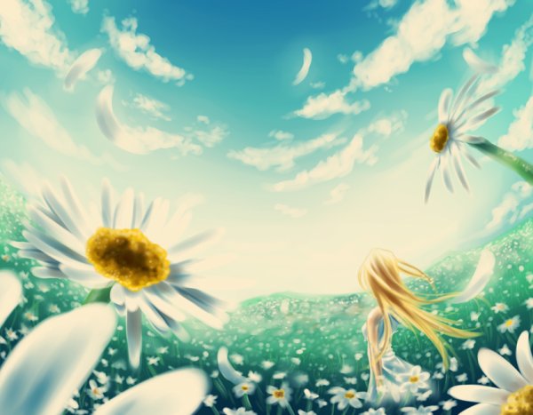 Ромашковое поле арт