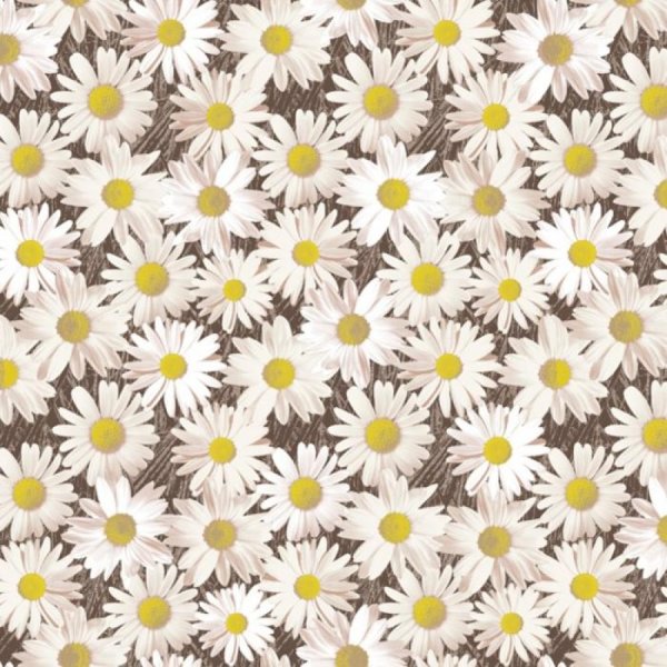 Обои с ромашками для стен