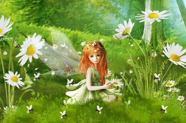 Ромашковая Фея