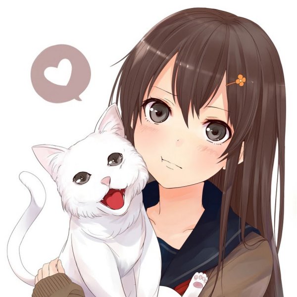 Аниме девочка с котом