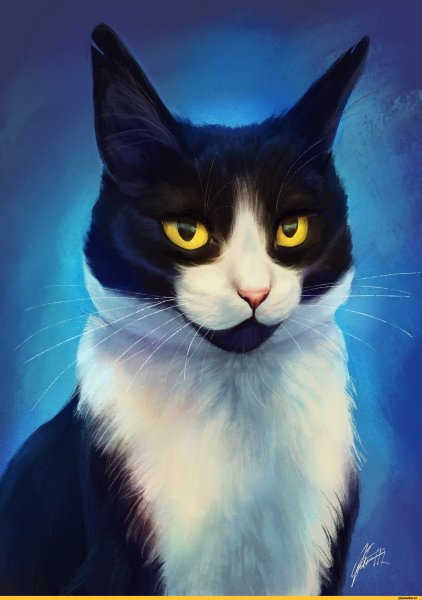 Красивая кошка арт