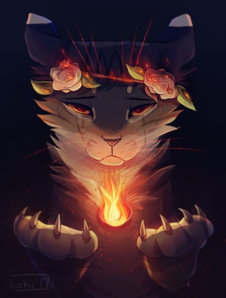 Коты Воители LOKIDRAWZ