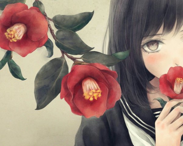 Красная Камелия аниме