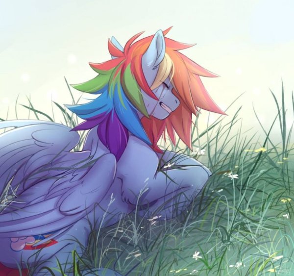 ЛГБТ Rainbow Dash