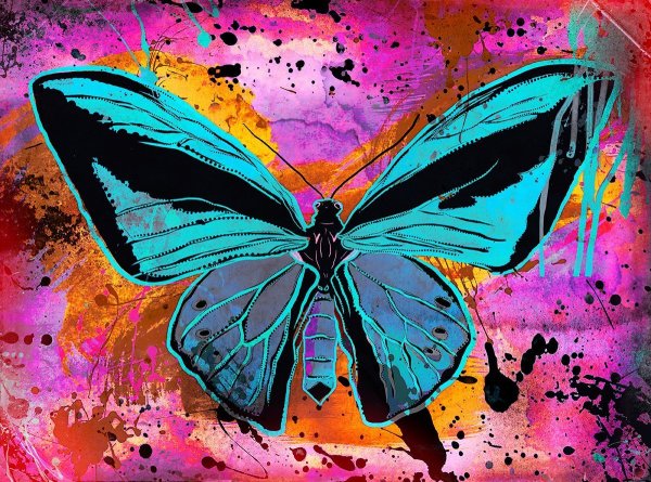 Разноцветные бабочки