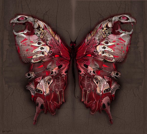 Кровавая бабочка