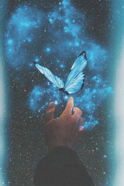 Бабочки звезды