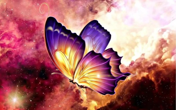 Бабочка в космосе