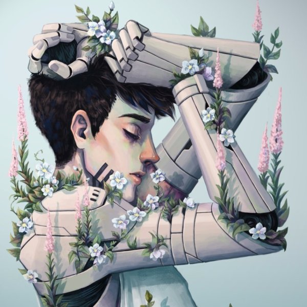 Эстетические иллюстрации