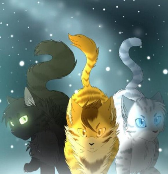 Коты Воители Остролистая Львиносвет и Воробей