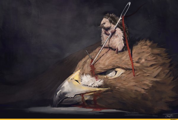 Боевой Ёжик арт