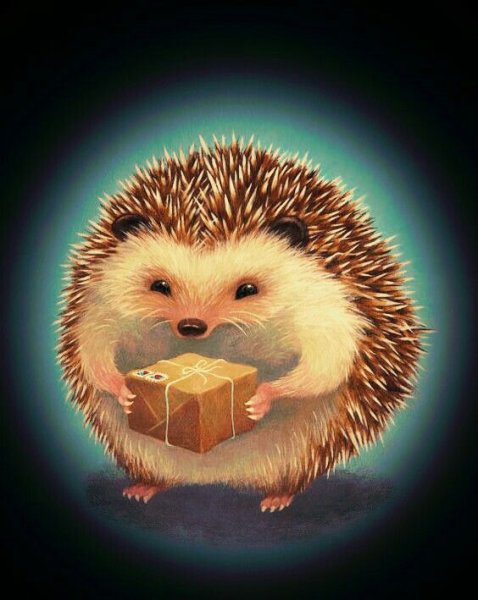 Еж милый арт