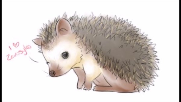 Аниме Ёжик