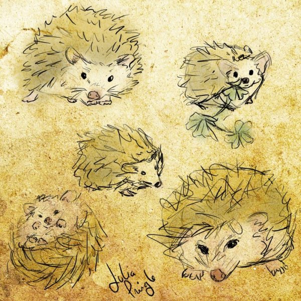 Арт с Ёжиком