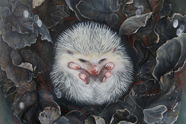 Арты с ежами