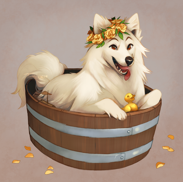 Арты собачек