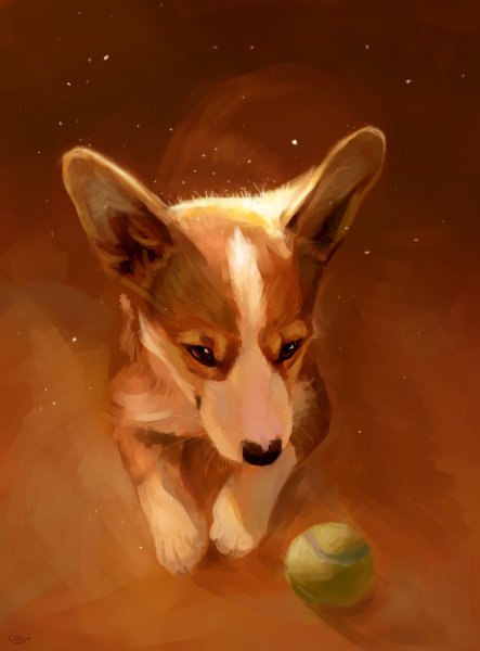 Вельш корги пемброк арт