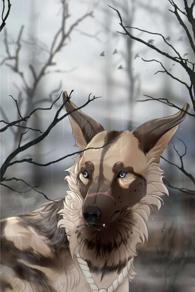 Красивые арты собак